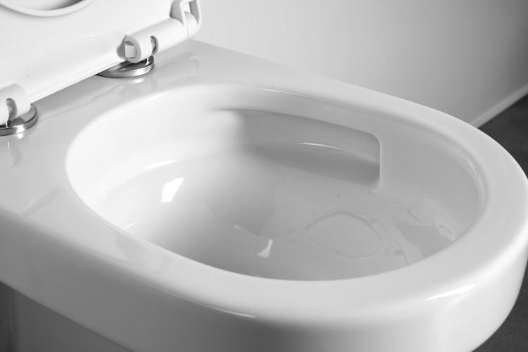 DENICA WC misa wisząca, Vortex Rimless, 36x52 cm, biały PS8512 wnętrze